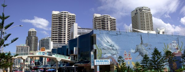Surfer's Paradise